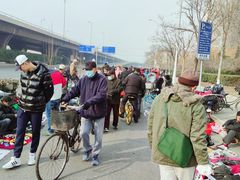 -中环花鸟鱼虫市场