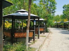 -西青郊野公园