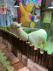 -宝燕乐园(闵行旗舰店)