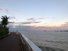 -野狸岛