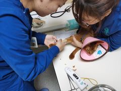 -谐和贝康宠物医院24小时·宠保定点(急重症转诊中心)