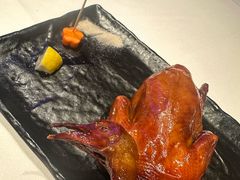 -侨美食家·40年地道粤菜(珠江新城店)