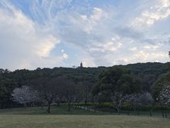 -苏州上方山国家森林公园