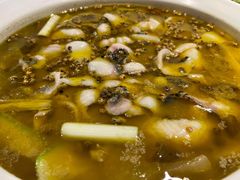 老坛青花椒酸菜鱼-拈菜(观音桥阳光世纪店)