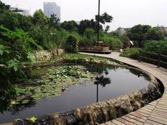 -成都市活水公园