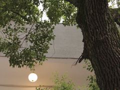 -湖北美术学院(昙华林校区)