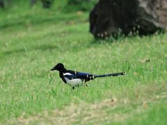-白塘生态植物园