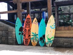 -杭州开元森泊度假乐园