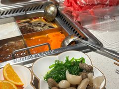 -海底捞火锅(高科广场店)