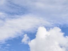 -宜兴龙背山森林公园