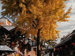 -崇州市街子古镇