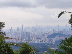 -梧桐山风景名胜区