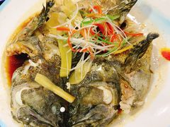 清蒸石斑鱼-张树军海鲜(王府壹号店)