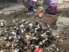 -蠔园山庄(礼乐食街店)