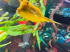 -沈阳海洋探索中心