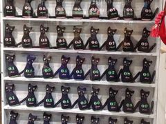 -猫咪博物馆(顶澳仔猫街店)