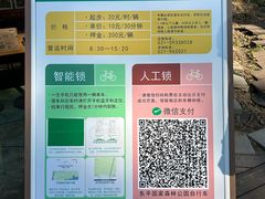 -东平国家森林公园