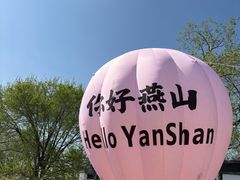 -白水寺森林公园