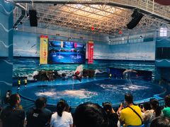 -多彩贵州城极地海洋世界