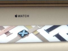 -Apple 零售店(Canton Road)