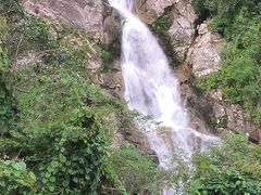 -海南热带雨林国家公园吊罗山景区