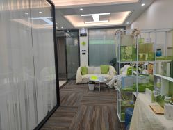 -凡碧诗毛孔清洁收细