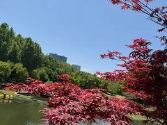 -滨湖塘西河公园