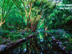 -上海共青森林公园