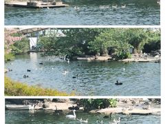 -广州动物园