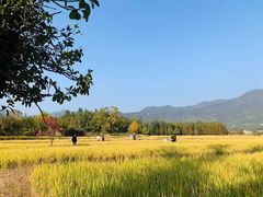 -塔川景区