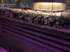 -DEW Lounge(深圳湾店)