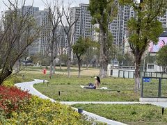 -金沙湖公园