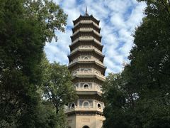 -灵谷景区