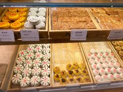 -九芝斋(解放路店)