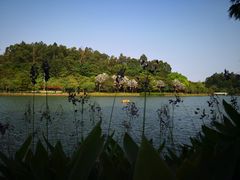 -南国桃园旅游度假区