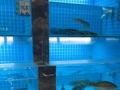 -七味·用心做好鱼(花桥店)