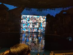 -芜湖新华联大白鲸海洋公园