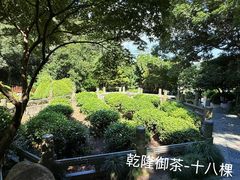 -十八棵（老龙井）御茶园(老龙井店)