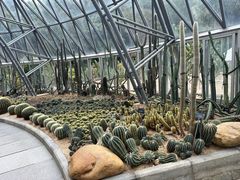 -深圳仙湖植物园