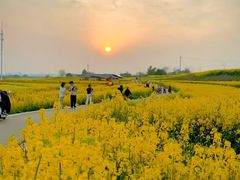 -三圣花乡旅游区