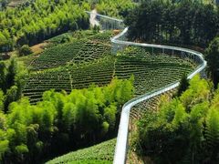 -藏龙百瀑风景区