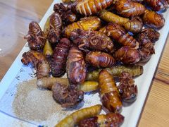 -山海经·海边人家 海鲜新青岛菜(扬州路店)