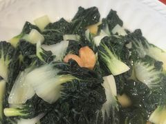 -金翠皇宫粤菜·点心·海鲜(翡翠店)