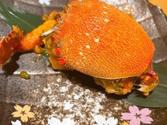 -清水日本料理铁板烧(学府路店)