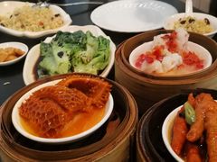-添运来(茶园奥园广场店)