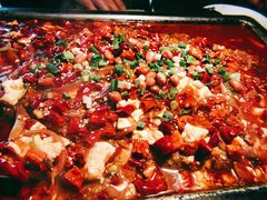 海鲈鱼-炉鱼(云澜湾店)