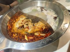-京门活鱼馆·鱼火锅(百子湾（原红庙）店)