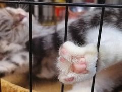 景观位-大档(荔湾店)