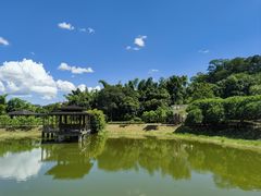 -开平碉楼文化旅游区马降龙景区