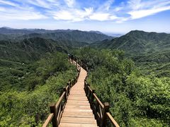 -大岭沟猕猴桃谷风景区